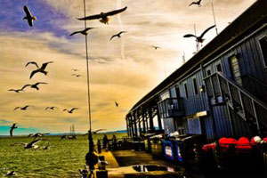 ddos在线压力测试平台